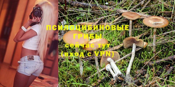 стафф Алзамай