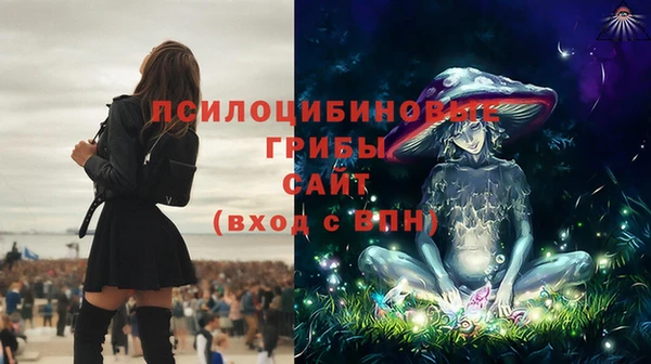 стафф Алзамай