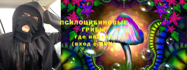 стафф Алзамай